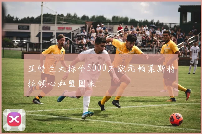 亚特兰大标价5000万欧元帕莱斯特拉倾心加盟国米
